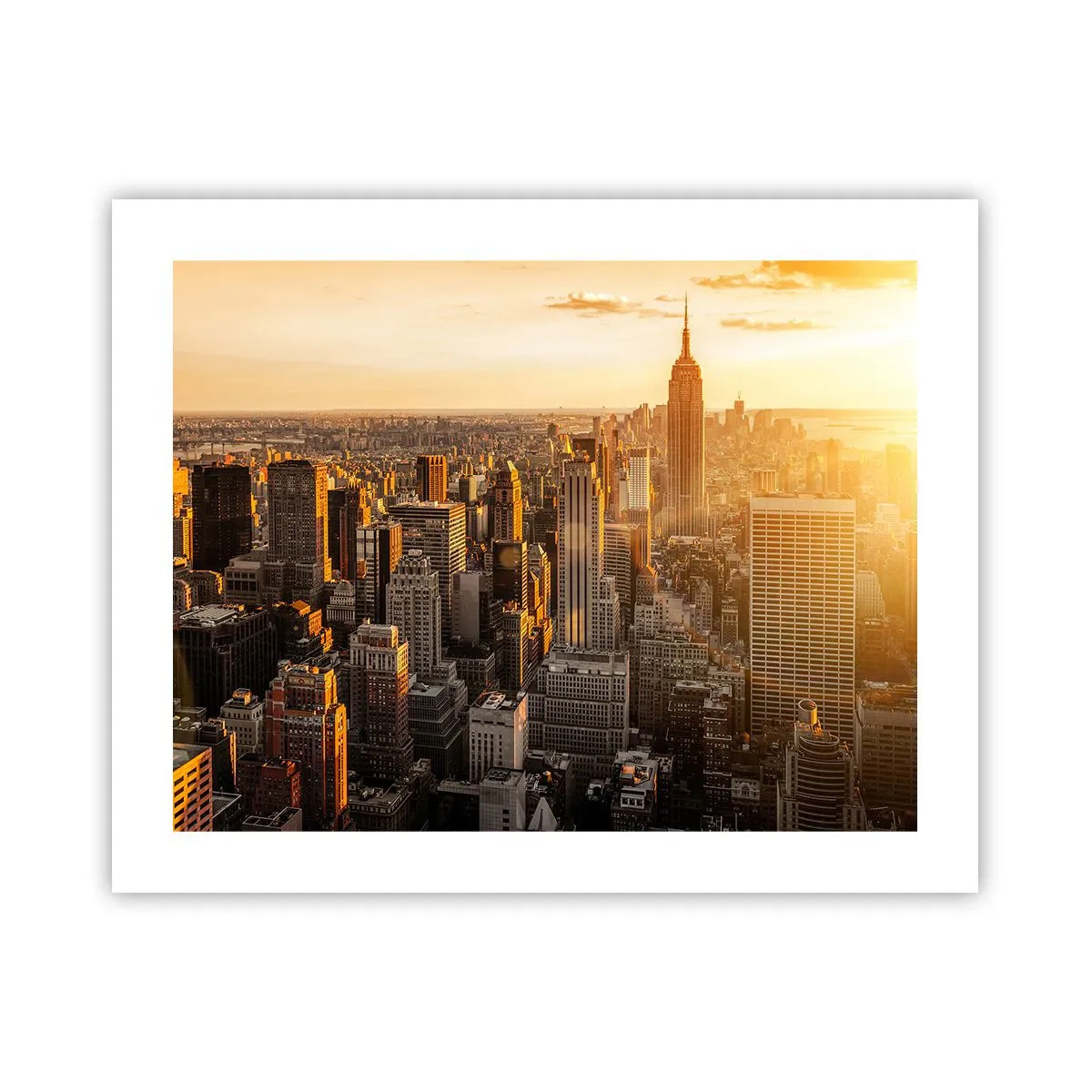 Poster - In der Sonne wachsen - 50x40 cm