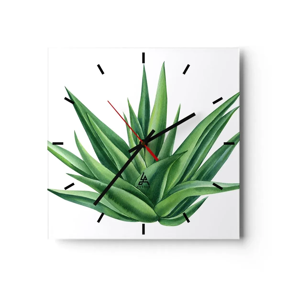 Wanduhr - Glasuhr - Eine saftige grüne Pflanze auf weißem Hintergrund - 30x30cm - Grün – Kraft – Leben - Moderne Wanddekoration für Wohnzimmer und Schlafzimmer ARTTOR