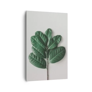 Bild auf Leinwand - Leinwandbild - Ein Zweig grüner Blätter auf hellem Hintergrund - 80x120cm - Eine Zeichnung purer Natur - Moderne Wanddekoration für Wohnzimmer und Schlafzimmer ARTTOR