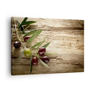 Bild auf Leinwand - Leinwandbild - Olivenzweig mit Früchten auf einem Hintergrund aus gealtertem Holz - 70x50cm - Direkt aus der Natur - Moderne Wanddekoration für Wohnzimmer und Schlafzimmer ARTTOR