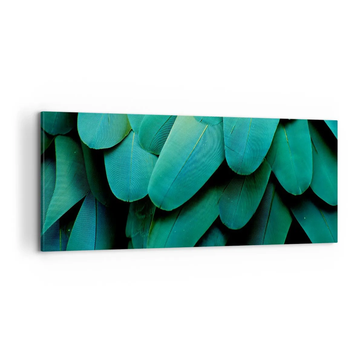 Bild auf Leinwand - Leinwandbild - Papageienartige Präzision - 100x40 cm
