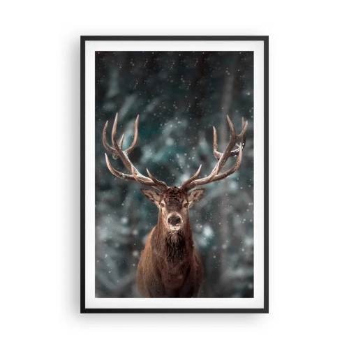 Poster in einem schwarzem Rahmen - Gekrönter König des Waldes - 61x91 cm