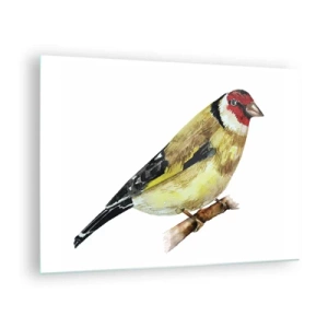 Glasbild - Bild auf glas - Aquarellvogel auf einem Ast in zarten Farben - 70x50cm - Vogelporträt - Moderne Wanddekoration für Wohnzimmer und Schlafzimmer ARTTOR