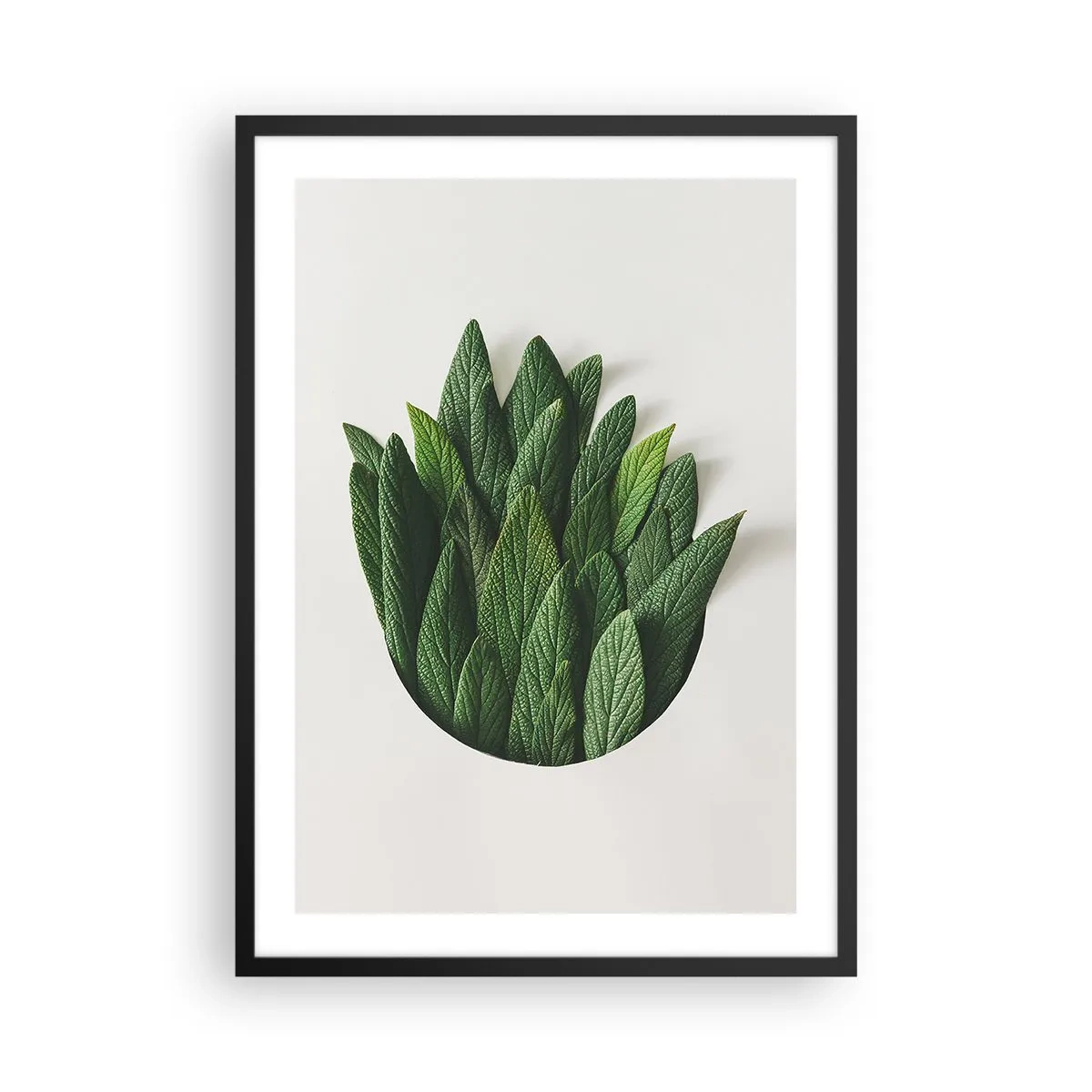 Poster in einem schwarzem Rahmen - Blätter in einer künstlerischen Komposition auf weißem Hintergrund - 50x70cm - Ungebremste Neugier - Moderne Wanddekoration für Wohnzimmer und Schlafzimmer ARTTOR