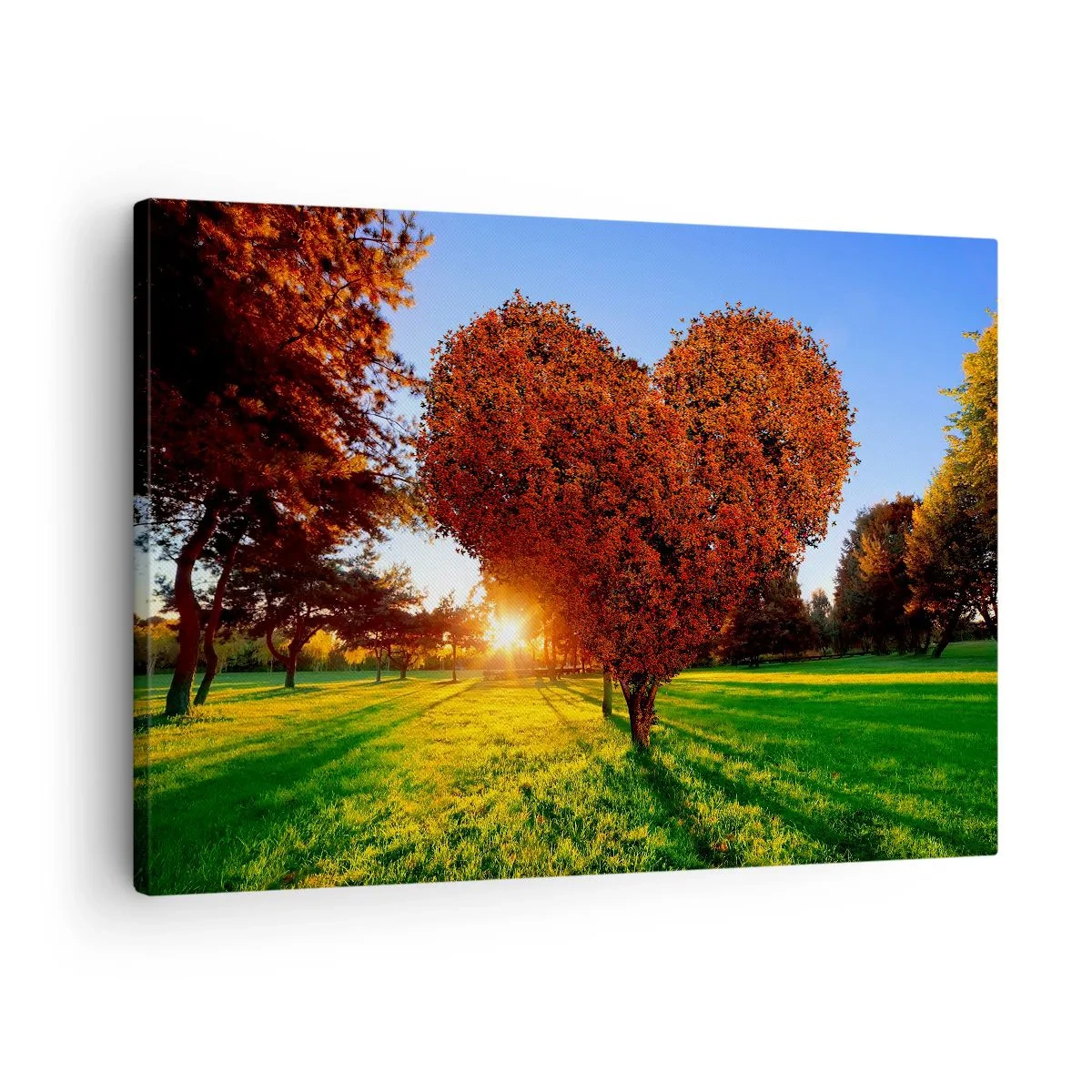 Bild auf Leinwand - Leinwandbild - Ein herzförmiger Baum in einer Herbstlandschaft - 70x50cm - Und wie man den Herbst nicht liebt - Moderne Wanddekoration für Wohnzimmer und Schlafzimmer ARTTOR