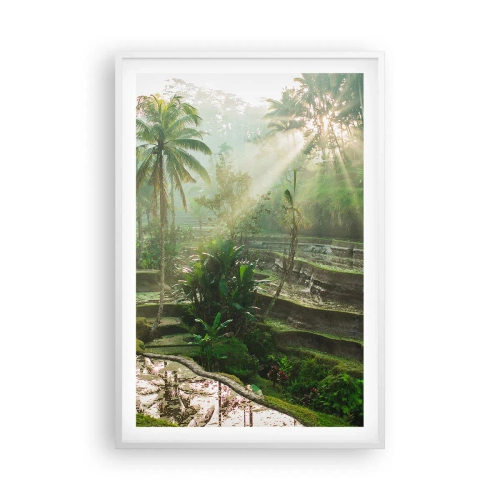 Poster in einem weißen Rahmen - In der Sonne aufwachsen - 61x91 cm