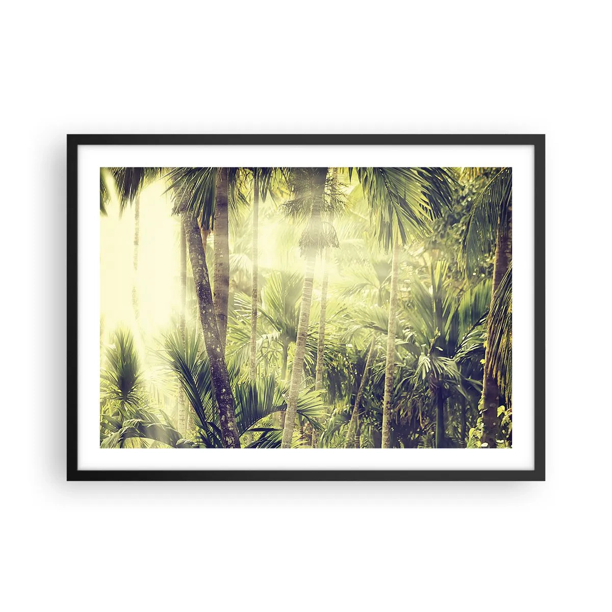 Poster in einem schwarzem Rahmen - Sonnenstrahlen in einem tropischen Palmenwald - 70x50cm - In grüner Hitze - Moderne Wanddekoration für Wohnzimmer und Schlafzimmer ARTTOR