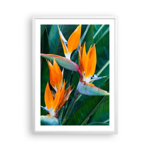Poster in einem weißen Rahmen - Ist es eine Blume oder ist es ein Vogel? - 50x70 cm