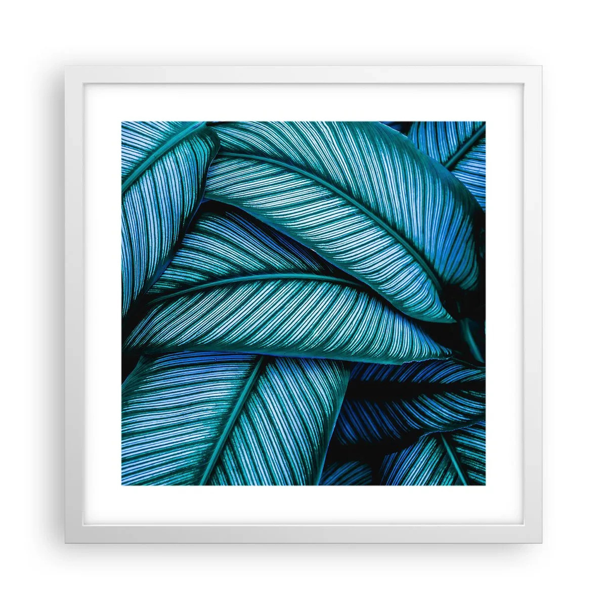 Poster in einem weißen Rahmen - Lebenslinien - 40x40 cm