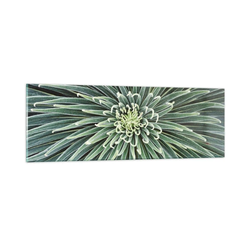 Glasbild - Bild auf glas - Ein Star ist geboren - 90x30 cm