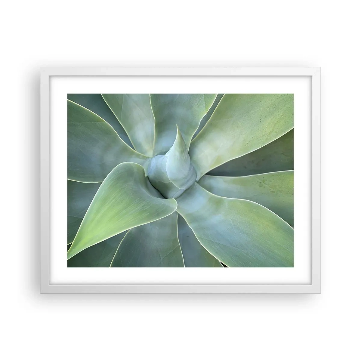 Poster in einem weißen Rahmen - Geburt des Grüns - 50x40 cm