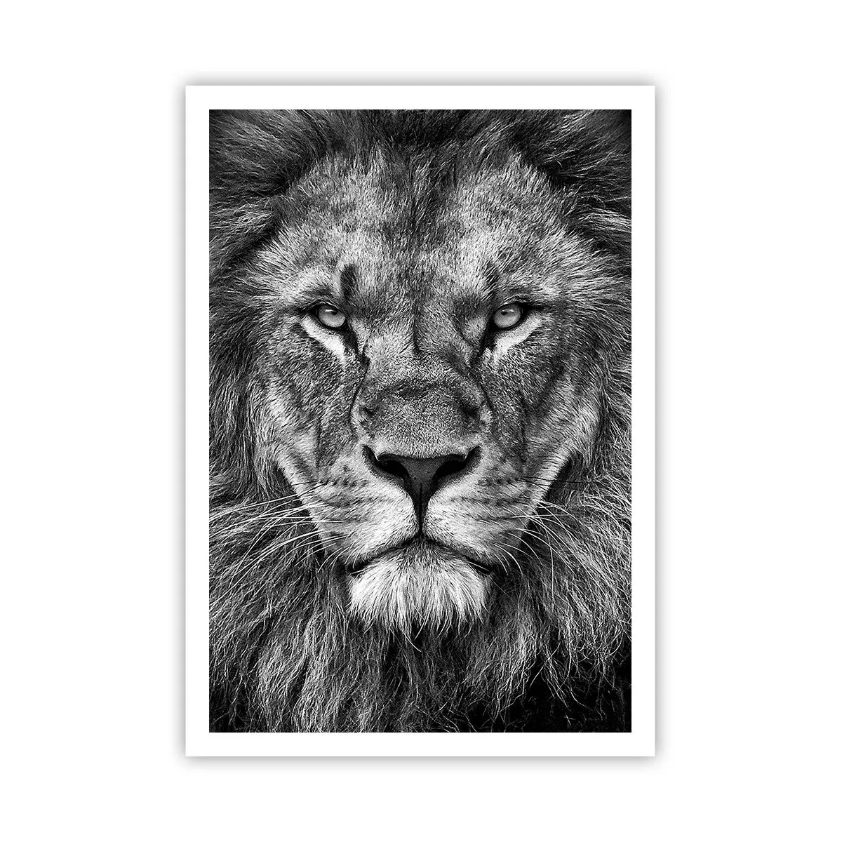 Poster - Im Krönungsgewand - 70x100 cm