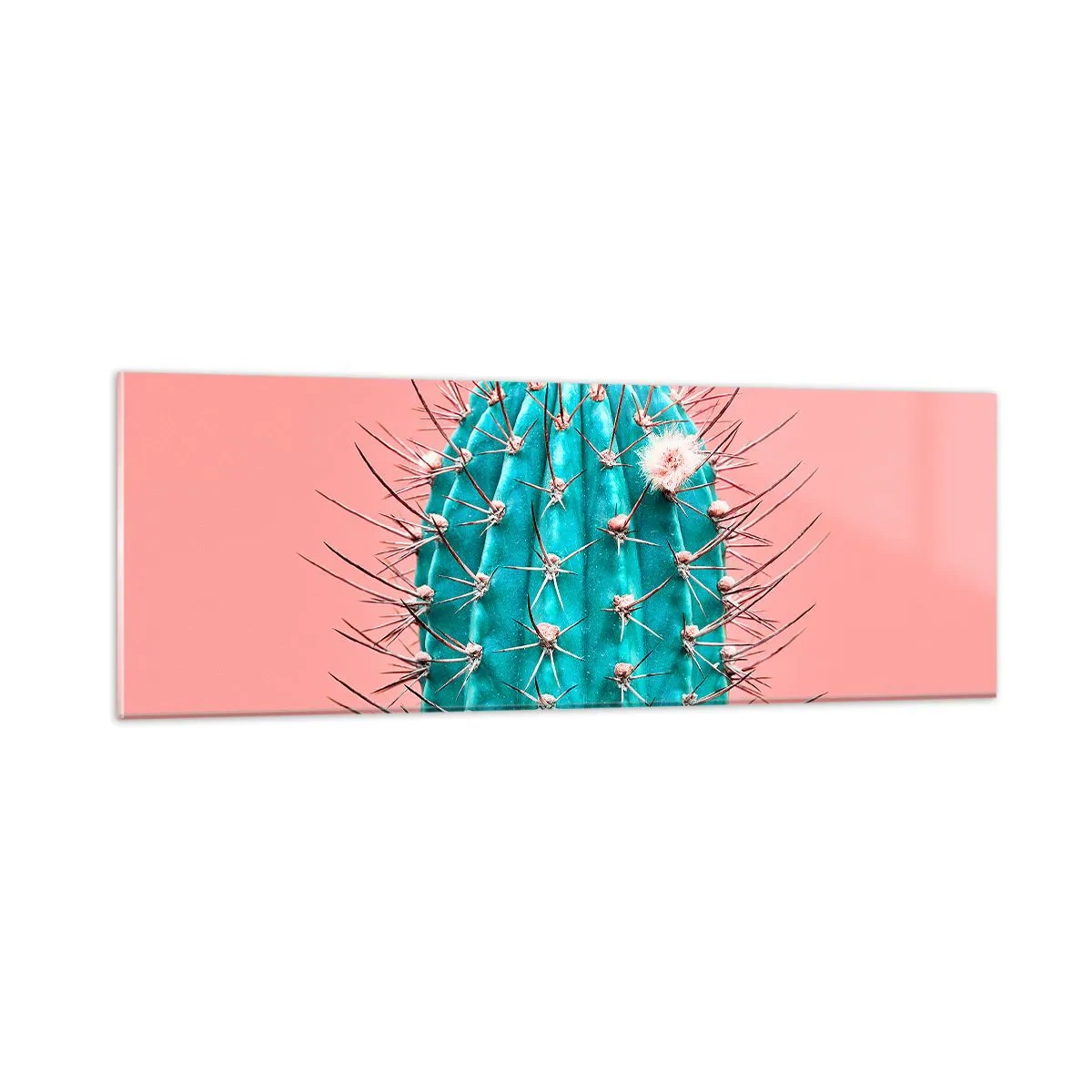 Glasbild - Bild auf glas - Schau einfach hin - 90x30 cm