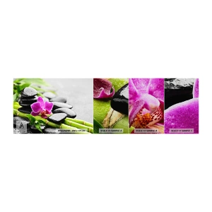 Fototapeten Muster Premium Sand - In ruhiger Balance - Blumen, Orchidee, Orchidee - 100x30 cm