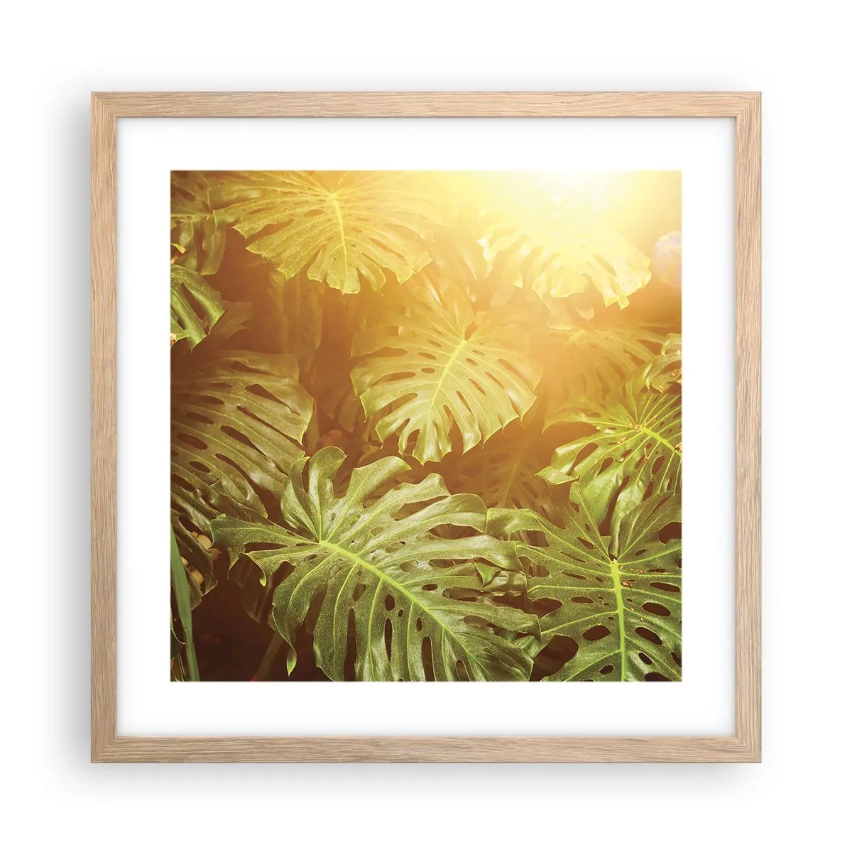 Poster in einem Rahmen aus heller Eiche - Ins Grüne tretren... - 40x40 cm