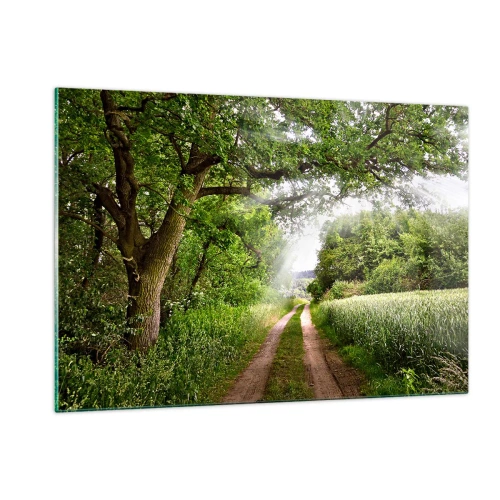 Glasbild - Bild auf glas - Ein Waldweg, umgeben von Grün in den Strahlen der Sonne - 120x80cm - Et in Arcadia ego - Moderne Wanddekoration für Wohnzimmer und Schlafzimmer ARTTOR