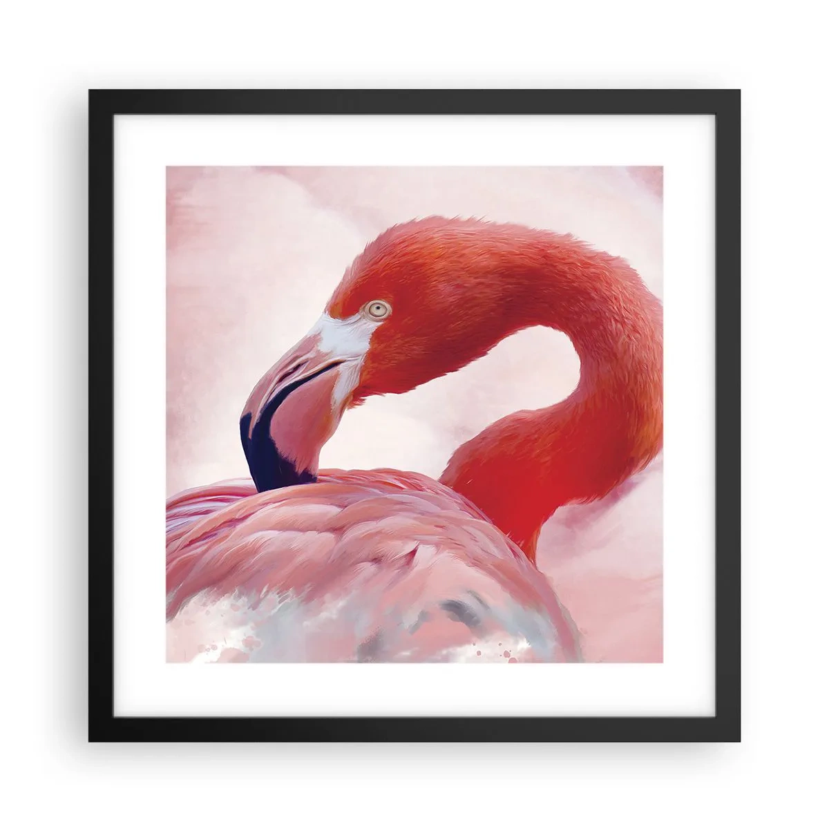 Poster in einem schwarzem Rahmen - Vogel Schönheit - 40x40 cm