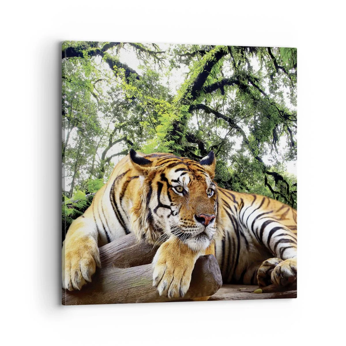 Bild auf Leinwand - Leinwandbild - Hochachtungsvoll - 70x70 cm