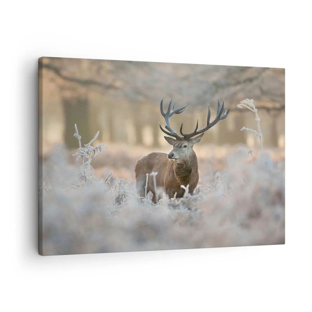 Bild auf Leinwand - Leinwandbild - Ein Reh auf einer frostigen Lichtung in einem Winterwald mit dezenten Farben - 70x50cm - Ein flotter Morgen - Moderne Wanddekoration für Wohnzimmer und Schlafzimmer ARTTOR