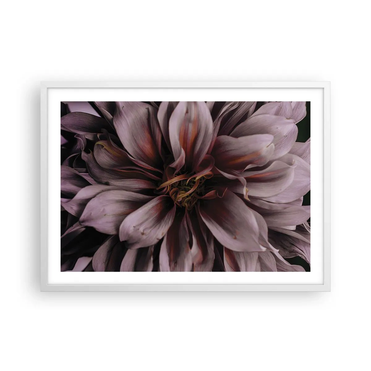 Poster in einem weißen Rahmen - Ein Blumenherz - 70x50 cm