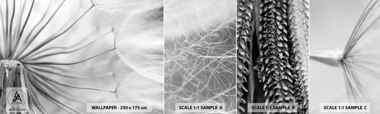 Fototapetenmuster Standard Eco - Löwenzahn, Drachen - Minimalismus, Empfindlich, Blume - 100x30 cm