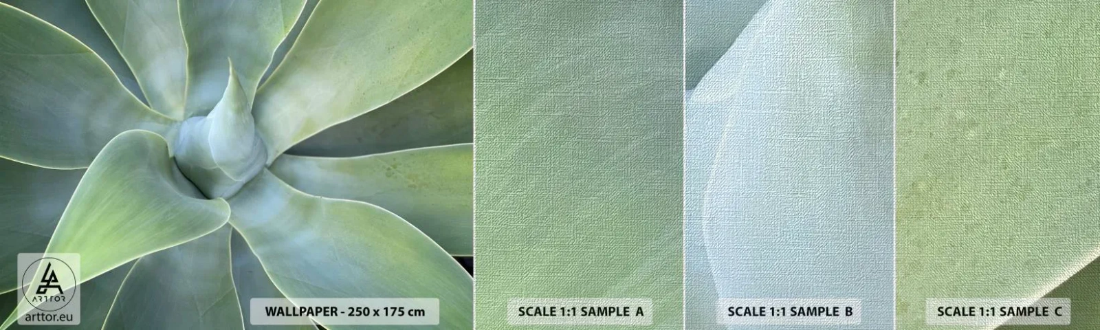 Fototapeten Muster Premium Canvas - Geburt des Grüns - Saftig, Agave, Botanik - 100x30 cm