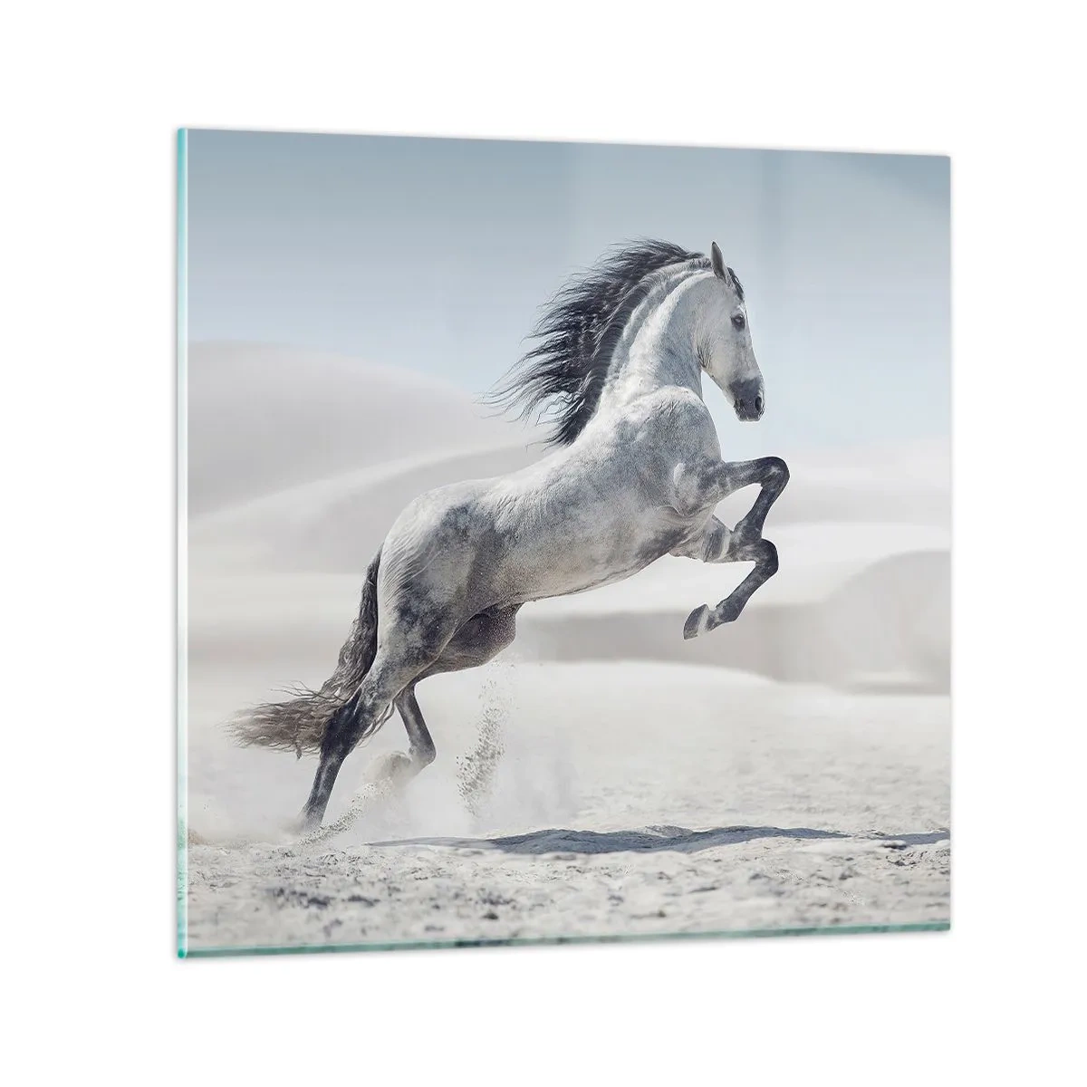 Glasbild - Bild auf glas - Arabischer Prinz - 70x70 cm