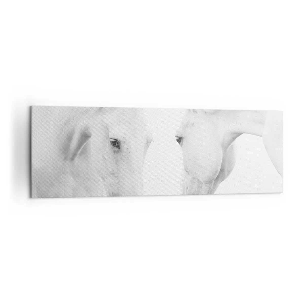 Bild auf Leinwand - Leinwandbild - Ein minimalistisches Porträt zweier weißer Pferde - 160x50cm - Ist das Freundschaft...? - Moderne Wanddekoration für Wohnzimmer und Schlafzimmer ARTTOR