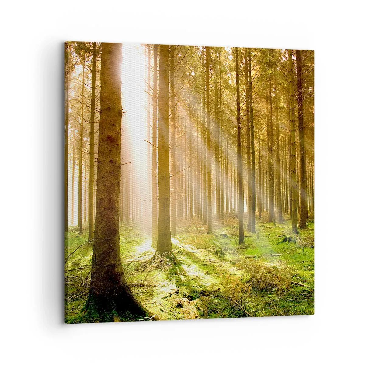 Bild auf Leinwand - Leinwandbild - Die Elfen werden bald erscheinen - 60x60 cm