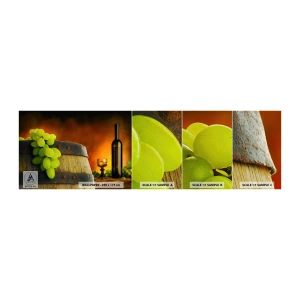 Fototapetenmuster Standard Eco - Stillleben mit einer Flasche Wein und einer Weintraube - Traube, Wein, Weinfass - 100x30 cm