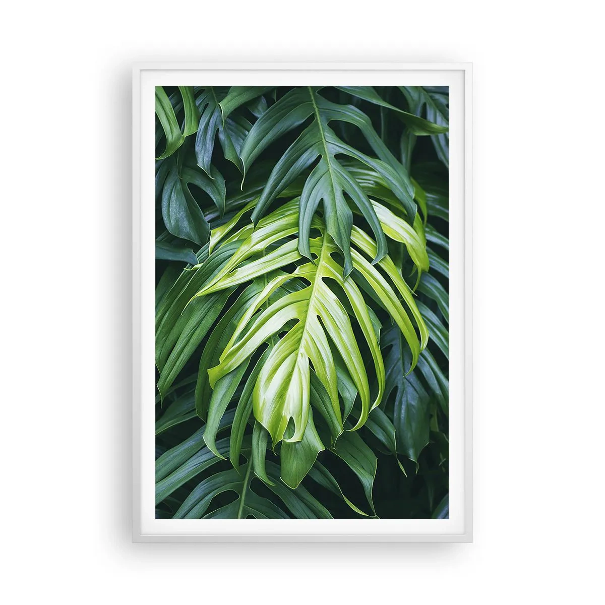 Poster in einem weißen Rahmen - Tauchen Sie ein in die Frische - 70x100 cm
