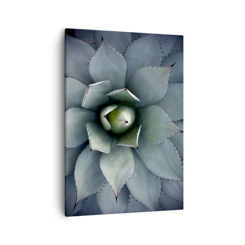 Bild auf Leinwand - Leinwandbild - Nahaufnahme einer Agavenrosette in zarten Grüntönen - 50x70cm - Es lockt an und warnt - Moderne Wanddekoration für Wohnzimmer und Schlafzimmer ARTTOR