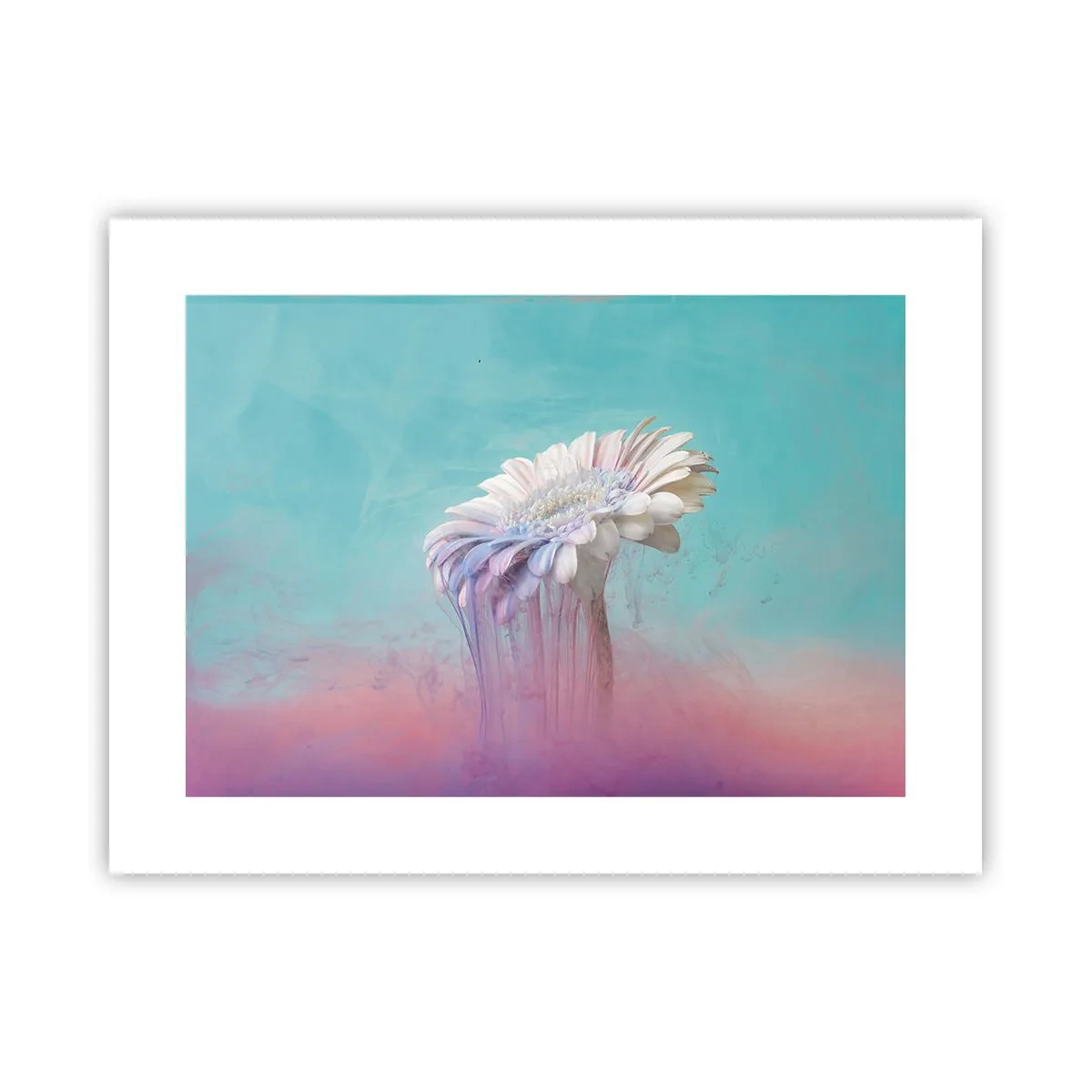 Poster - Blumenunterwelt - 40x30 cm