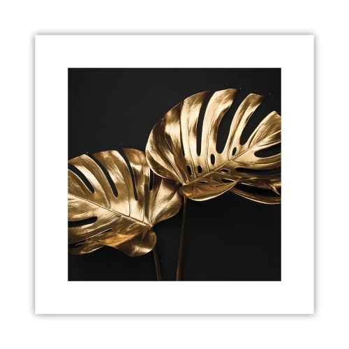 Poster - Die Schätze der Natur - 30x30 cm