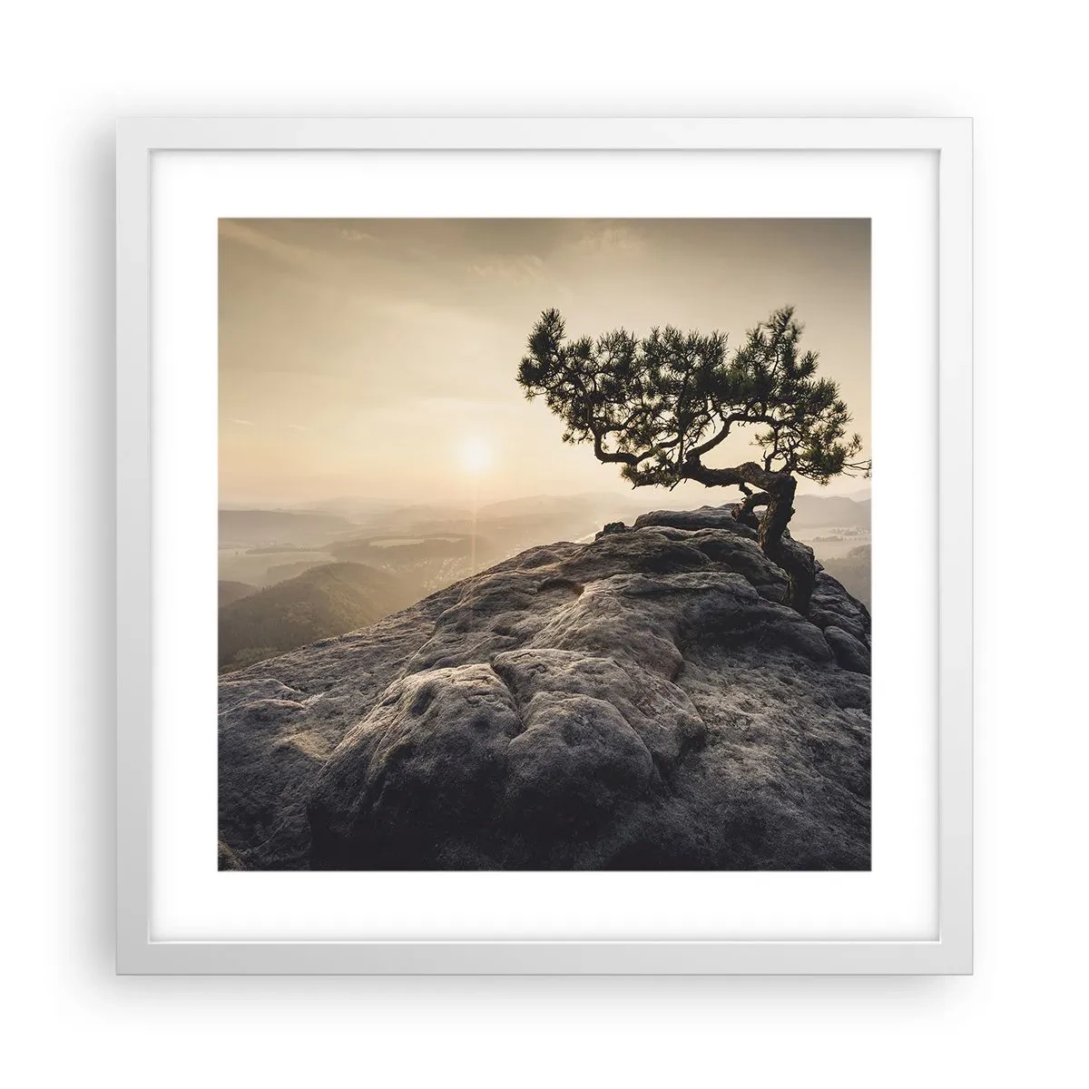 Poster in einem weißen Rahmen - Das Leben gewinnt immer - 40x40 cm