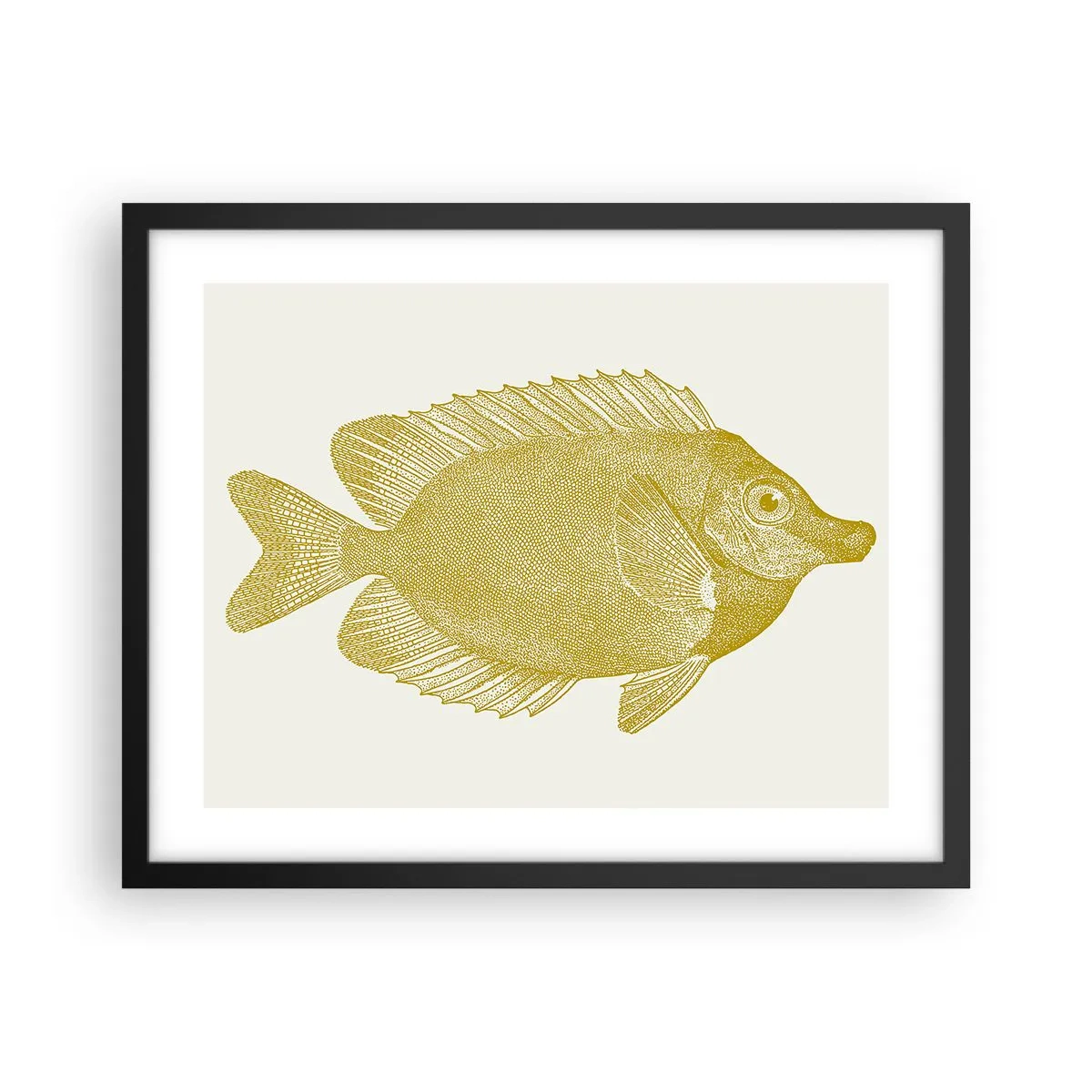 Poster in einem schwarzem Rahmen - Fisch und das war’s - 50x40 cm