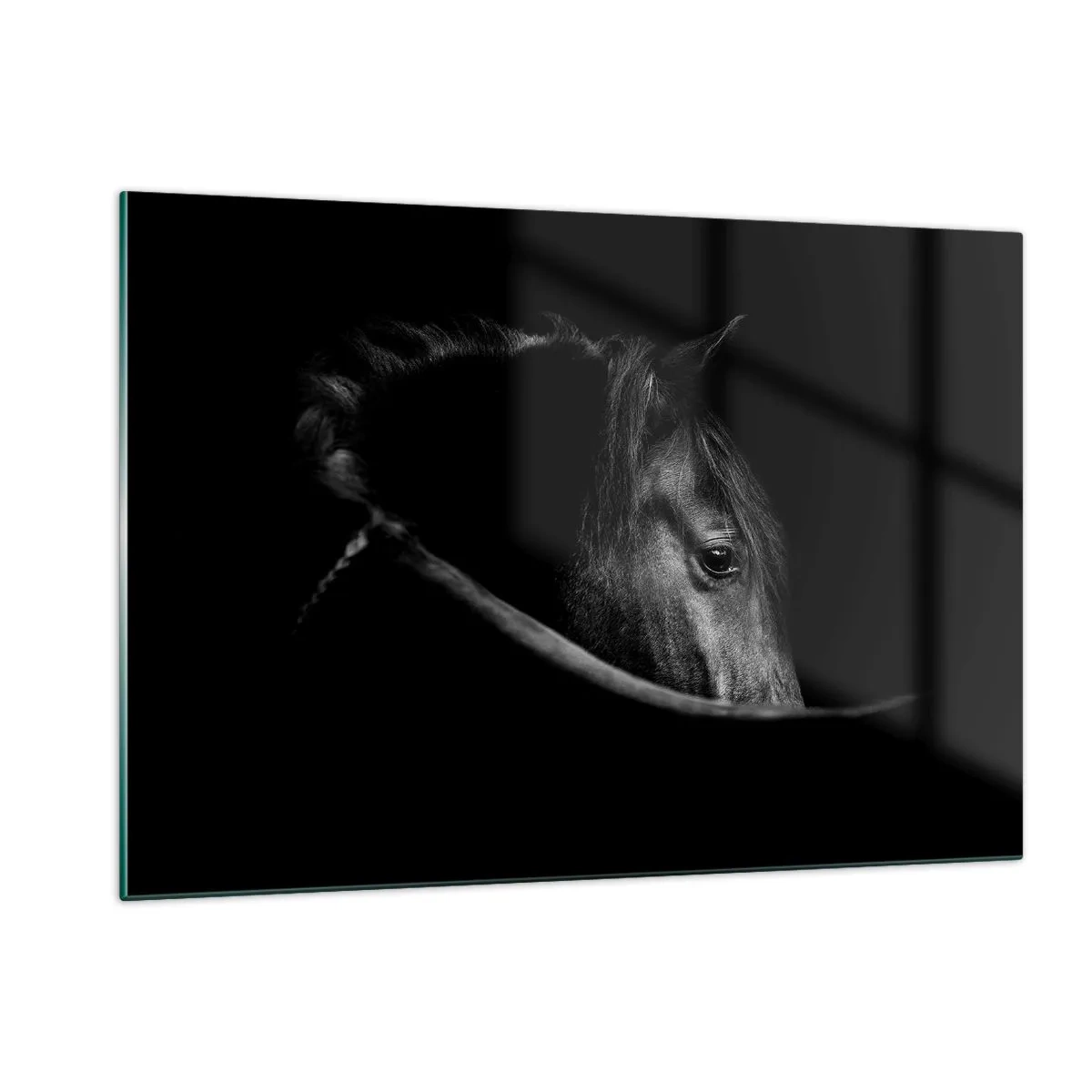 Glasbild - Bild auf glas - Profil eines schwarzen Pferdes im Schatten mit einem sichtbaren Auge - 120x80cm - Schwarzer Prinz - Moderne Wanddekoration für Wohnzimmer und Schlafzimmer ARTTOR