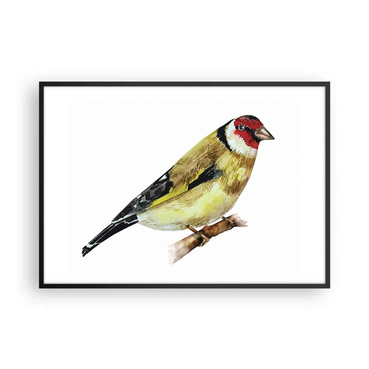 Poster in einem schwarzem Rahmen - Ein Vogel mit rotem Kopf auf einem Ast - 100x70cm - Vogelporträt - Moderne Wanddekoration für Wohnzimmer und Schlafzimmer ARTTOR