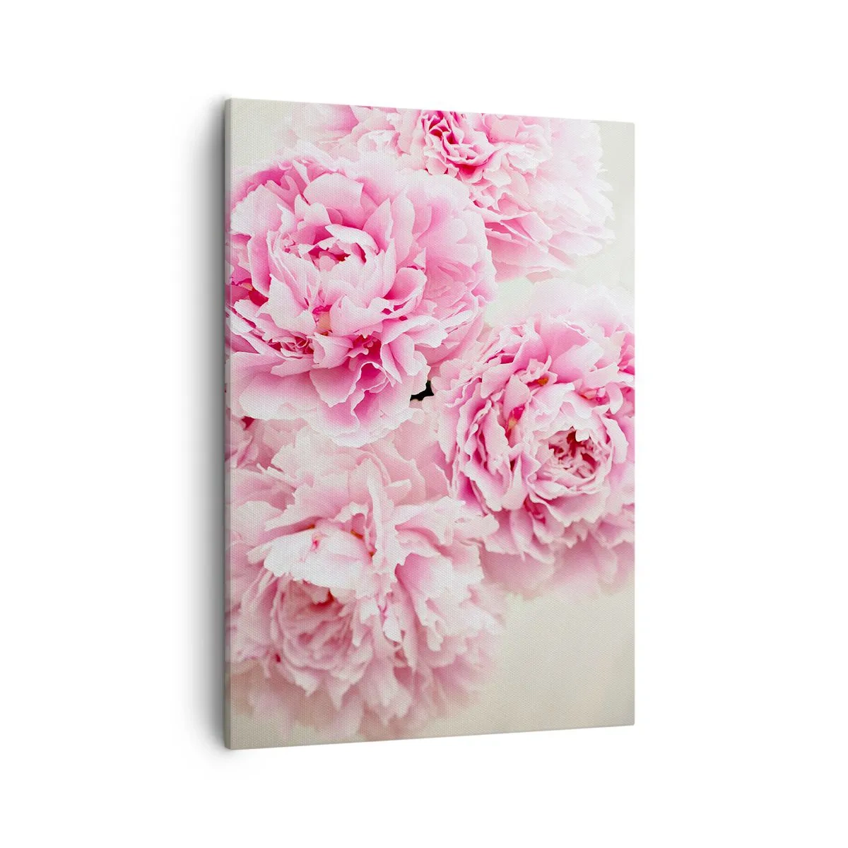 Bild auf Leinwand - Leinwandbild - Ein Strauß rosa Pfingstrosen auf hellem Hintergrund - 50x70cm - In rosa Glamour - Moderne Wanddekoration für Wohnzimmer und Schlafzimmer ARTTOR