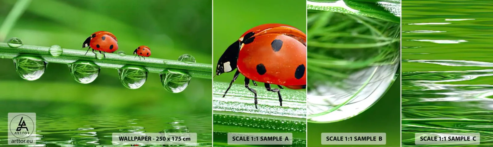 Fototapeten Muster Selbstklebend Deluxe Sticker - Den ganzen Sommer unterwegs - Marienkäfer, Ein Wassertropfen, Natur - 100x30 cm