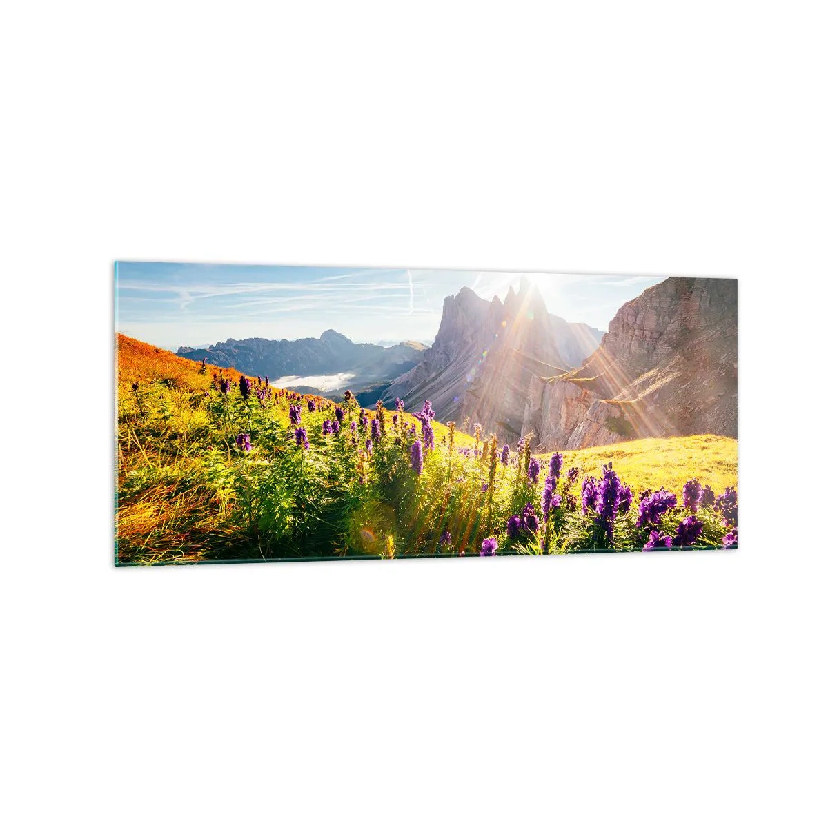 Glasbild - Bild auf glas - Berglandschaft mit Blumen im Licht der aufgehenden Sonne - 120x50cm - Das geheime Leben der Kräuter - Moderne Wanddekoration für Wohnzimmer und Schlafzimmer ARTTOR