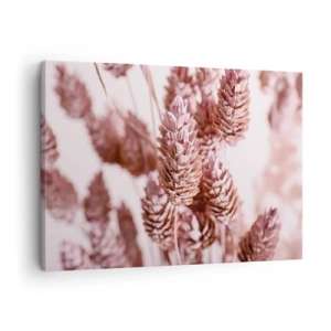 Bild auf Leinwand - Leinwandbild - Eine Nahaufnahme der zarten rosa Ähren von Ziergräsern - 70x50cm - Scheinbar unauffällig - Moderne Wanddekoration für Wohnzimmer und Schlafzimmer ARTTOR