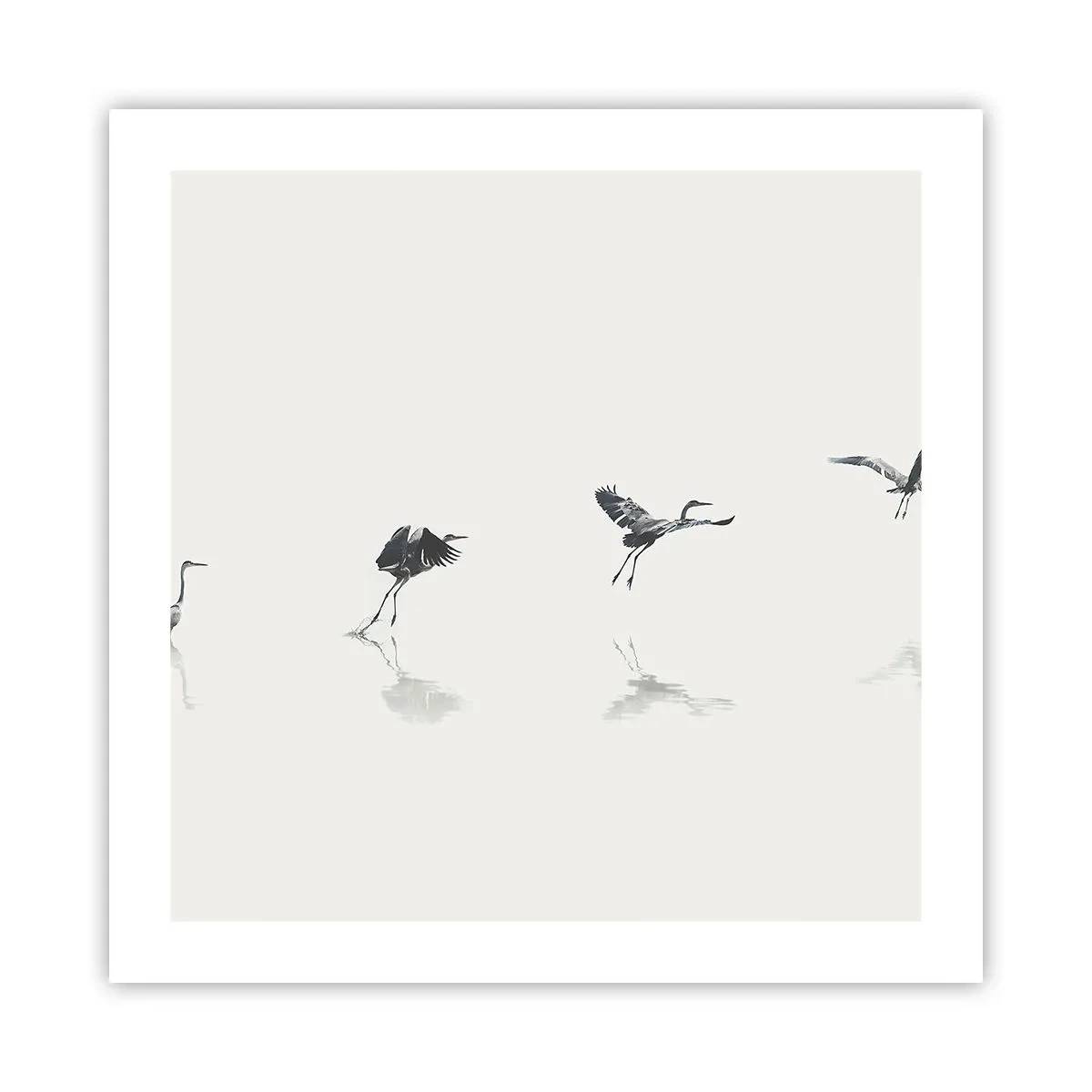 Poster - Vier einfache Schritte - 50x50 cm