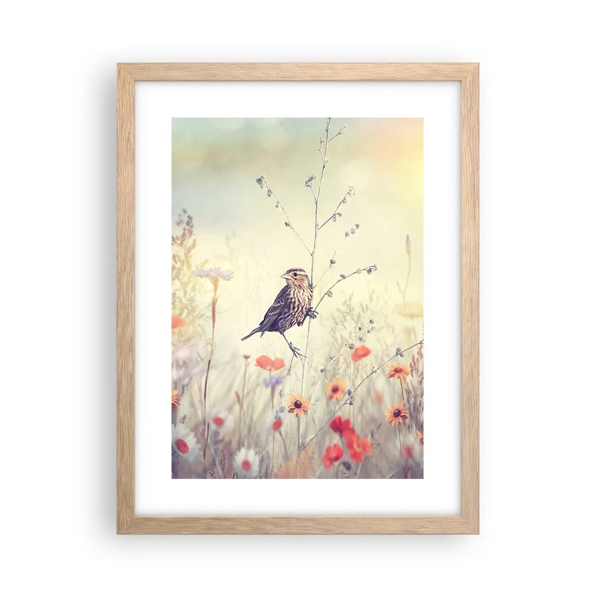 Poster in einem Rahmen aus heller Eiche - Vogelporträt mit einer Wiese im Hintergrund - 30x40 cm