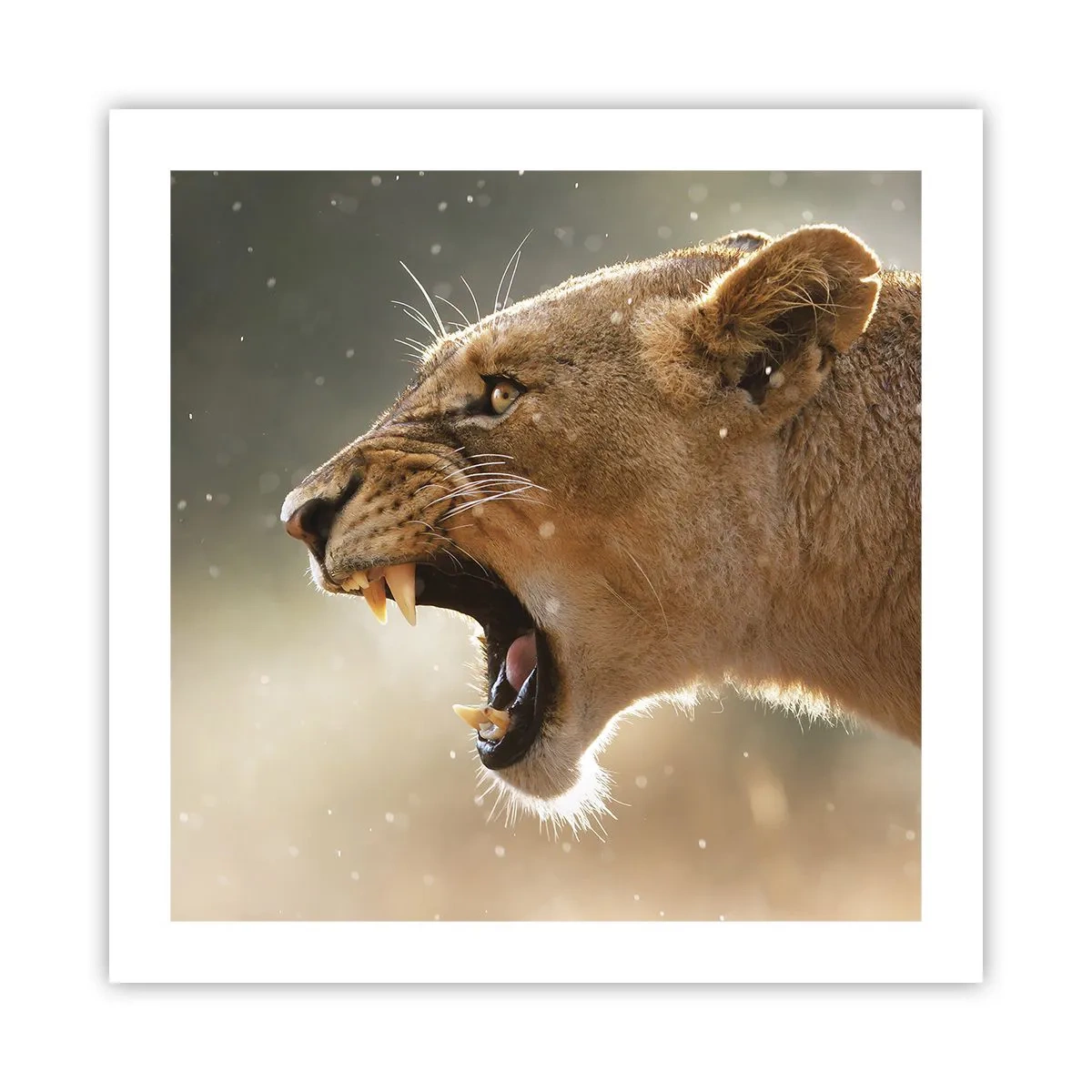 Poster - Versuch, nicht zuzuhören - 50x50 cm