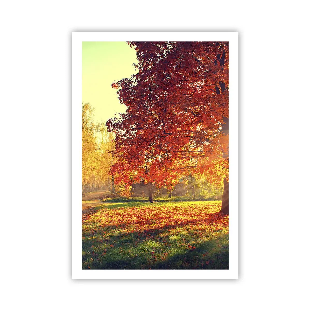Poster - Unhöflich ist schön - 61x91 cm