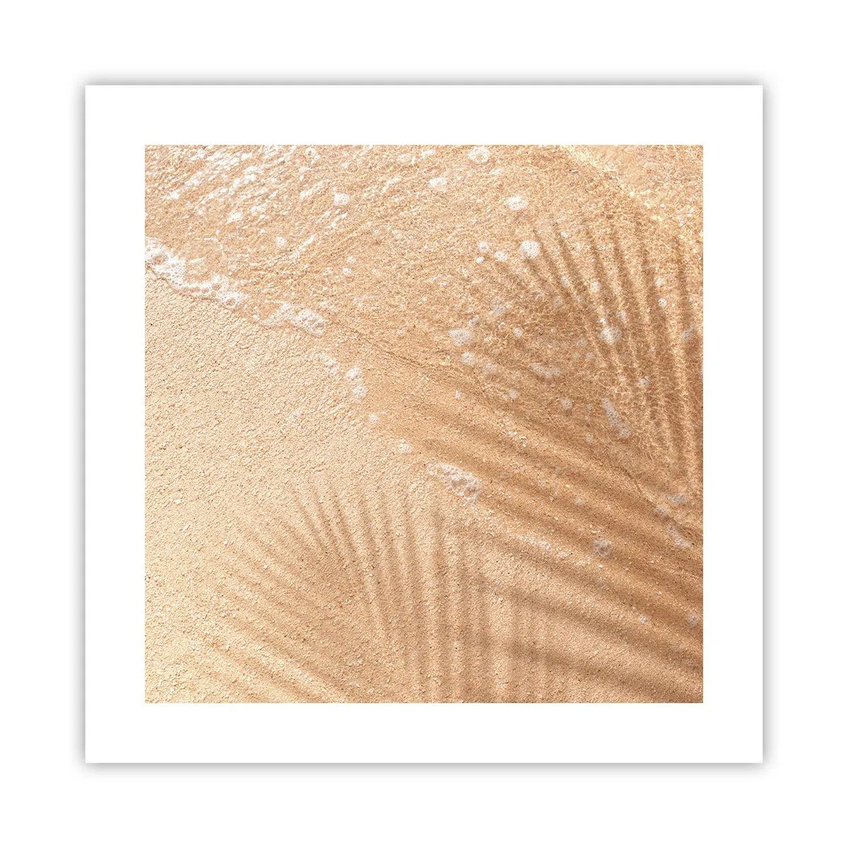 Poster - Der Schatten eines heißen Sommers - 40x40 cm