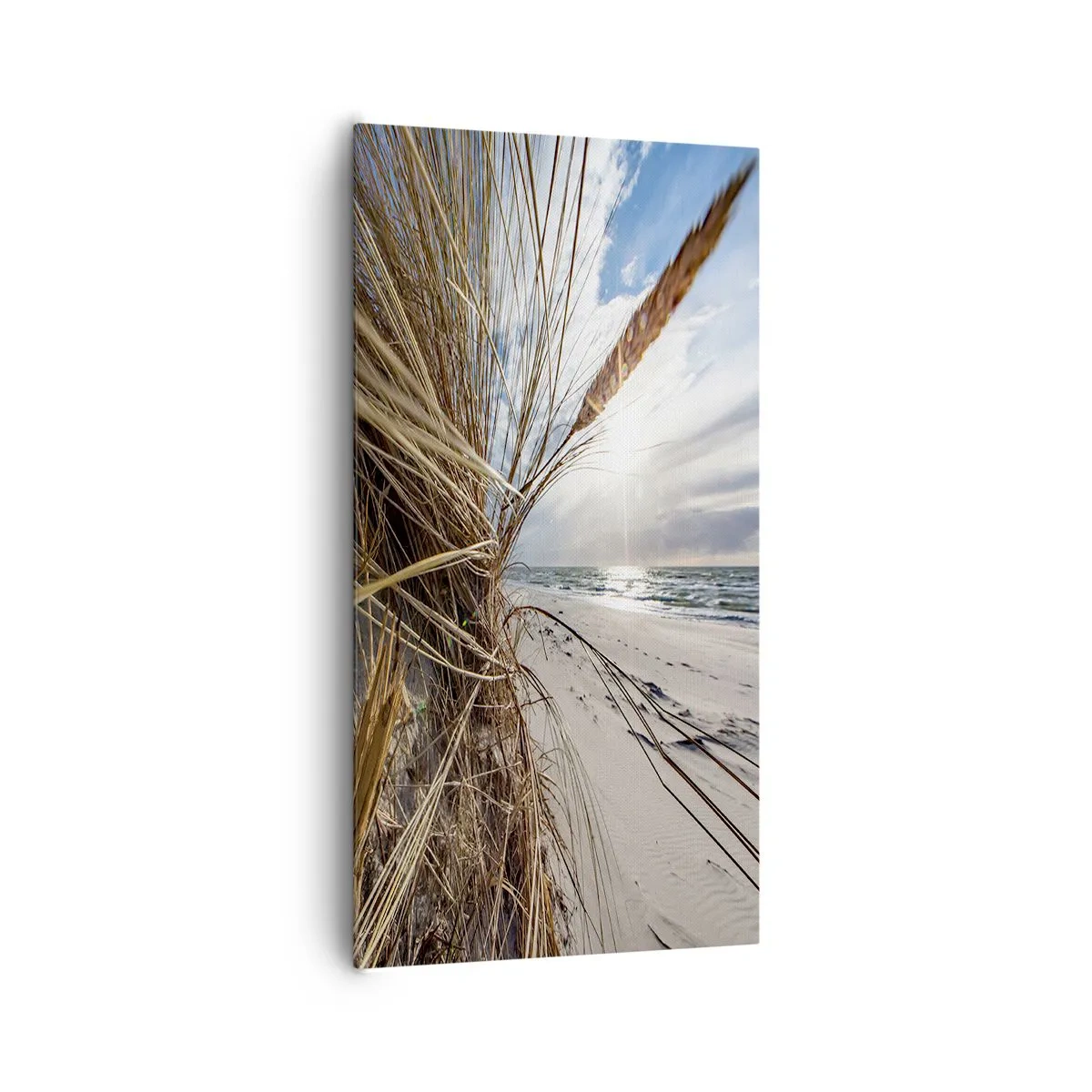 Bild auf Leinwand - Leinwandbild - Ein Treffen der Elemente der Natur - 65x120 cm