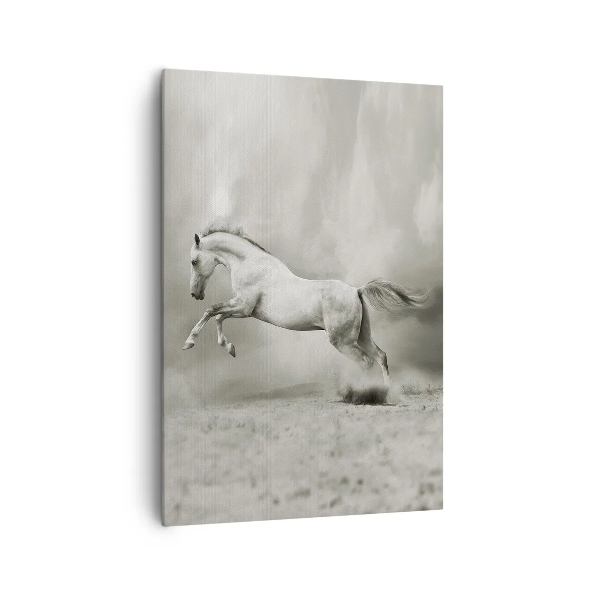 Bild auf Leinwand - Leinwandbild - Ein weißes Pferd in einem dynamischen Sprung vor dem Hintergrund nebliger Wolken. - 70x100cm - Zwischen Aufwachen und Schlafen - Moderne Wanddekoration für Wohnzimmer und Schlafzimmer ARTTOR