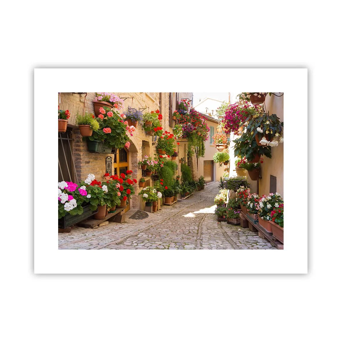 Poster - In der Flut Blumen - 40x30 cm